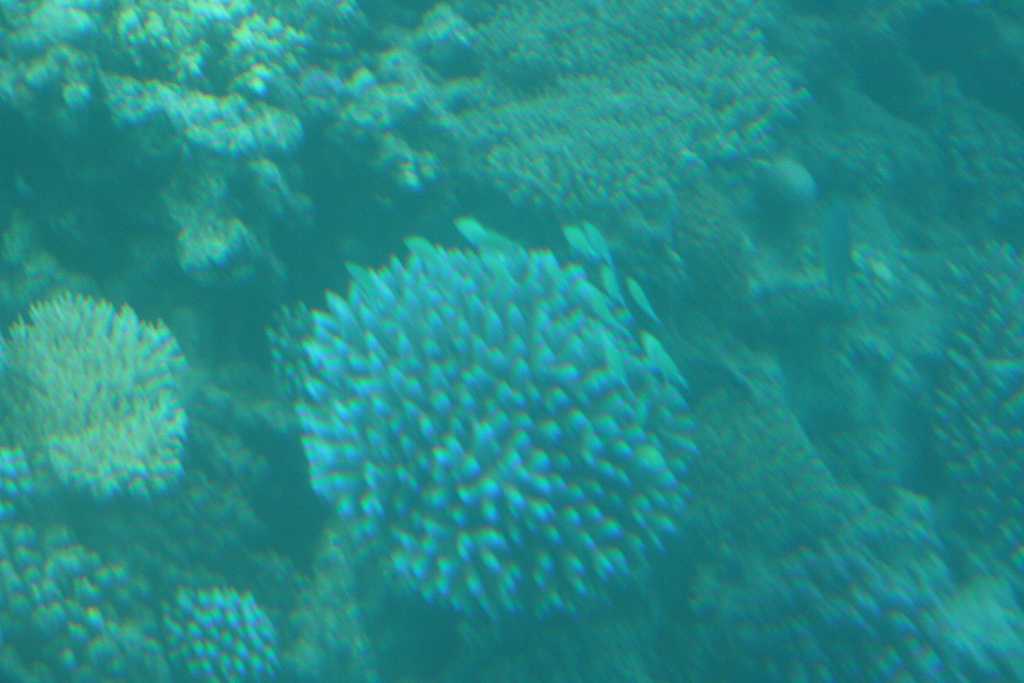 5369604525_fbaa0c9b53_b.jpg