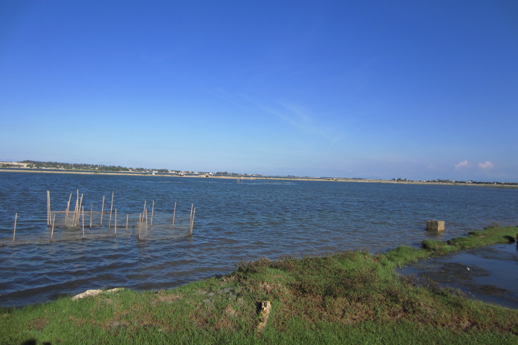 IMG_4203_zpstzd3b2ap.jpg