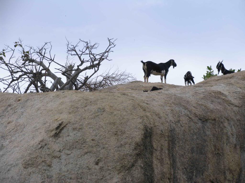_MG_2530.jpg