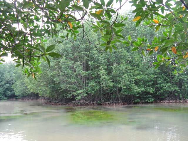 cce39434.jpg