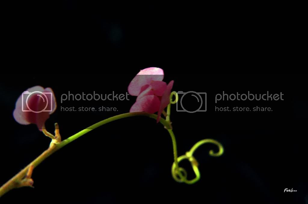 DSC_00562.jpg