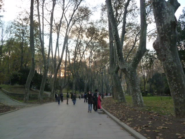 L1020692.jpg