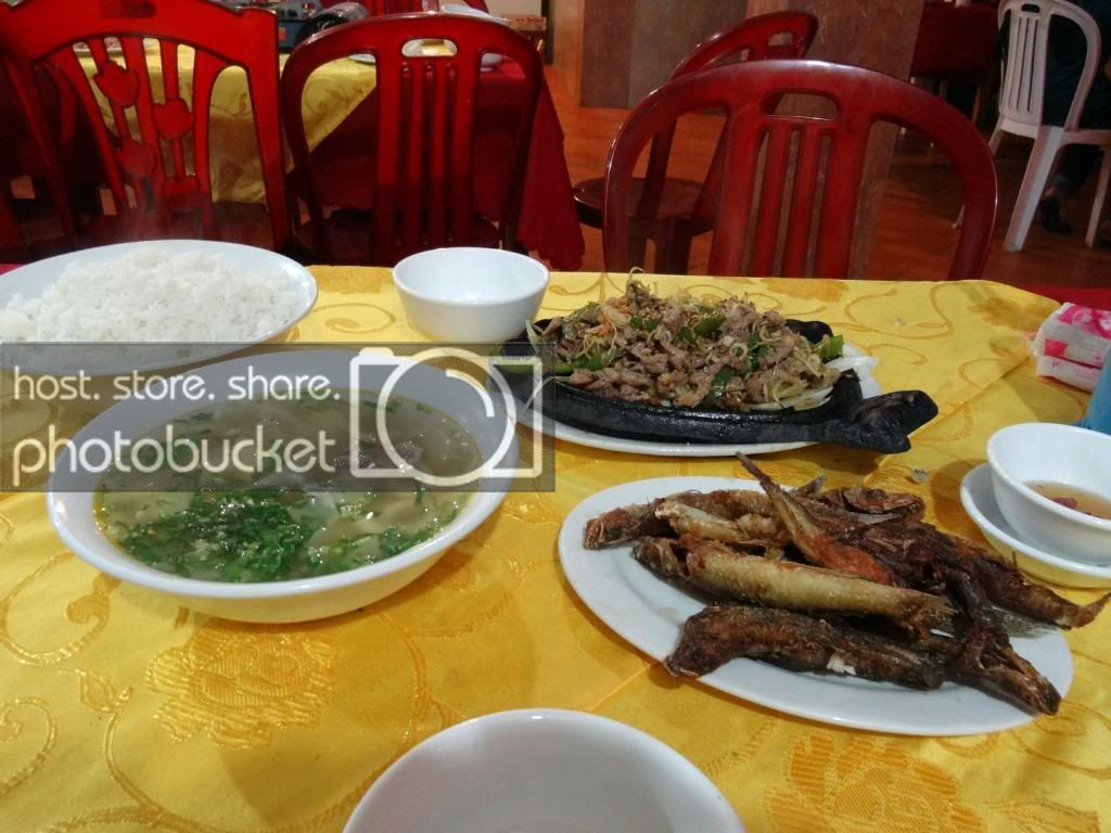 DSC04115_zps6c9482d9.jpg