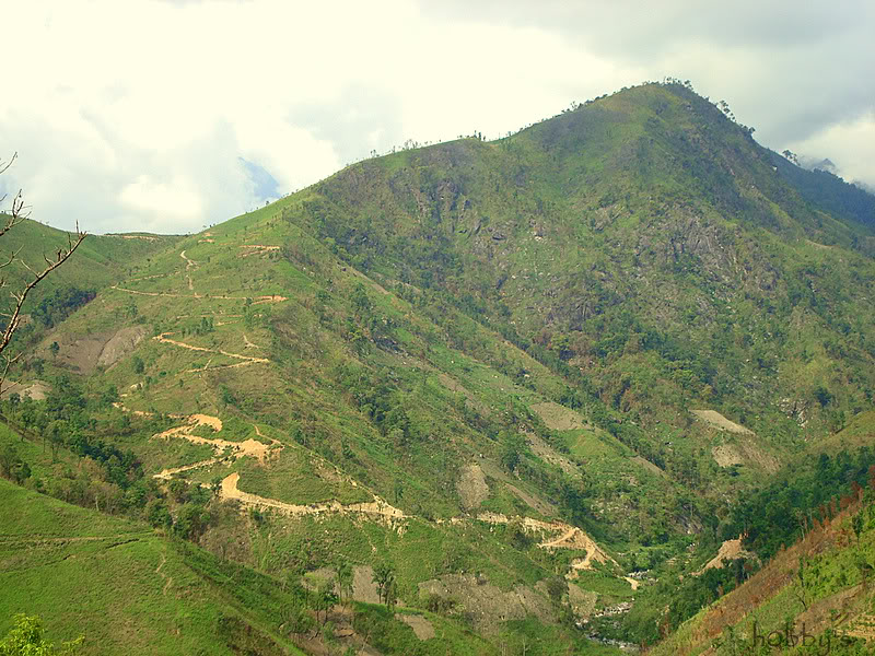 DSC08190-1.jpg