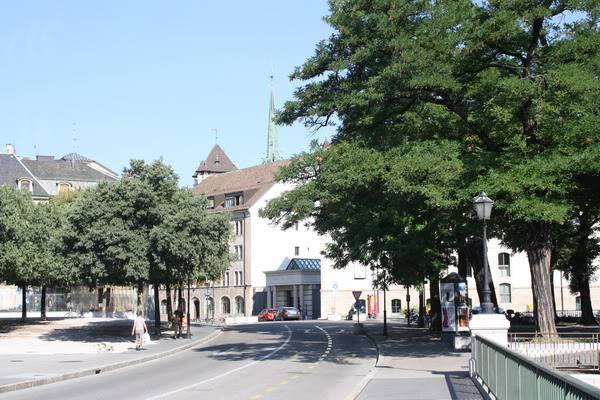 IMG_8006.jpg