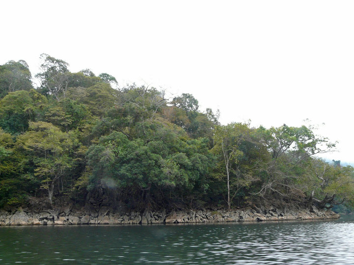 P1050561.JPG