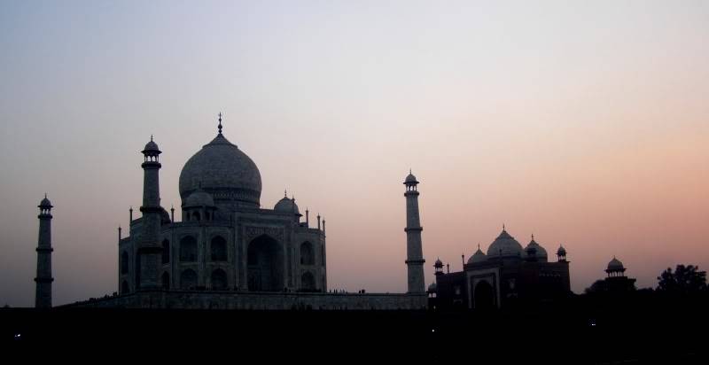 PB260331-1.jpg