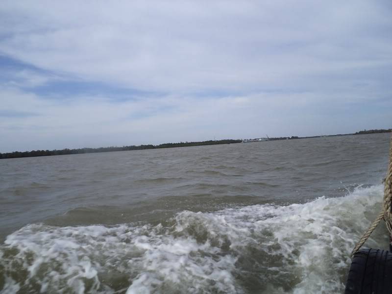 DSC00908.jpg