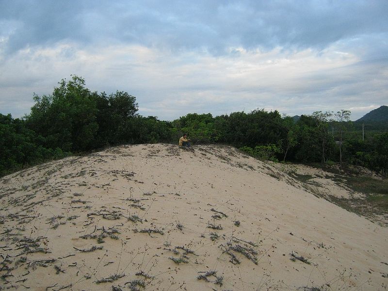 IMG_8135.jpg