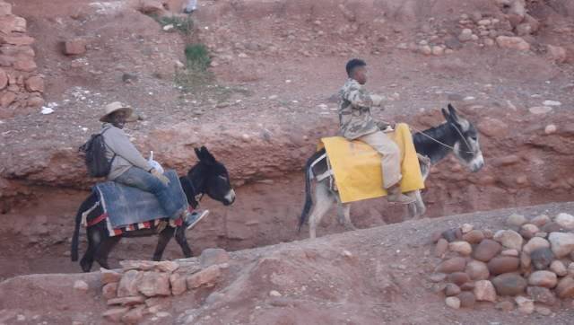 donkeyride.jpg