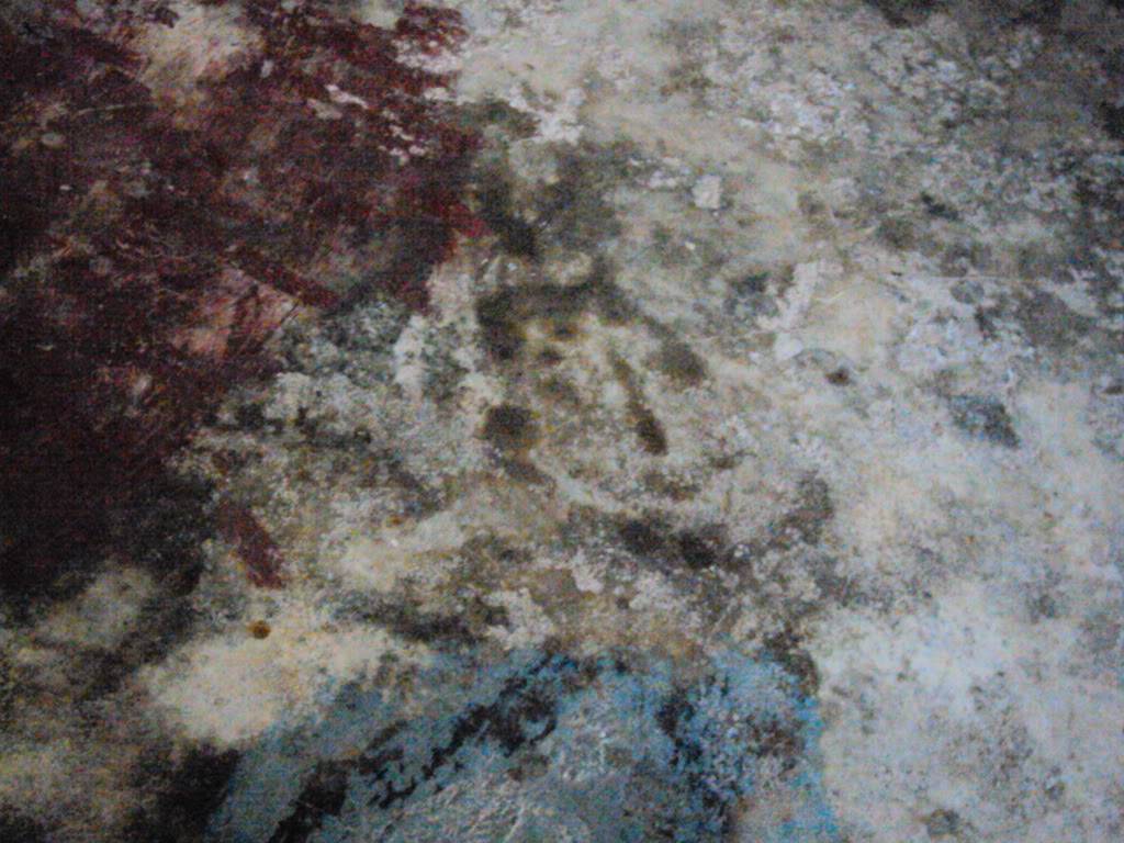 DSC05801-1.jpg