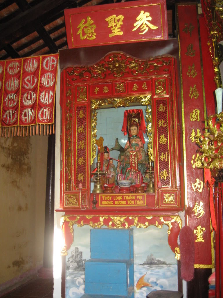 IMG_2923.jpg