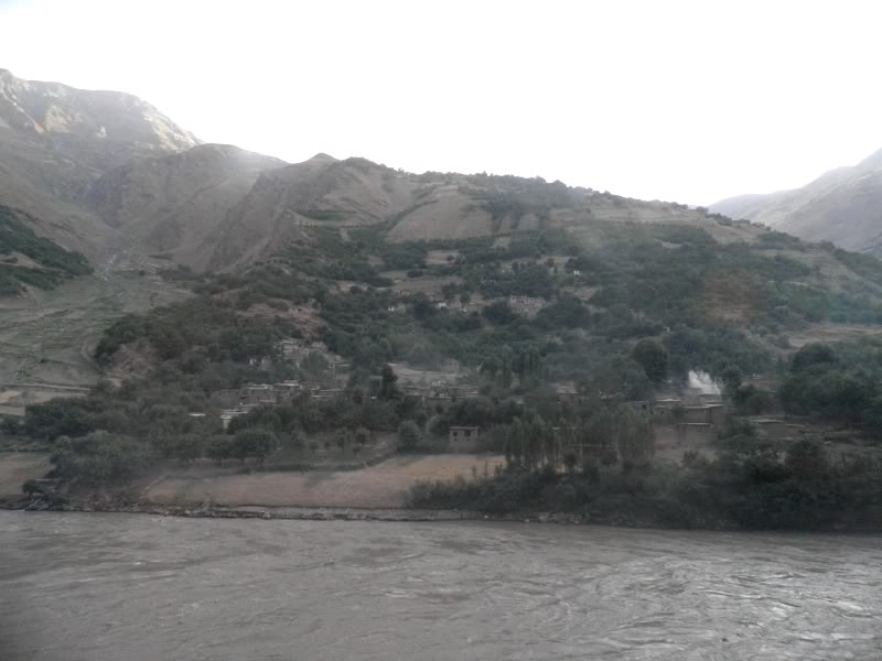 P8110766.jpg