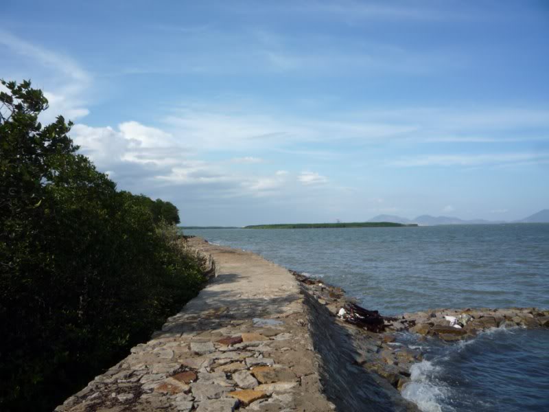 P1030166800x600.jpg