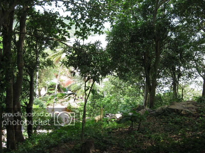 IMG_0383_resize.jpg