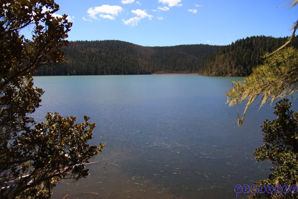 shangri-la246.jpg