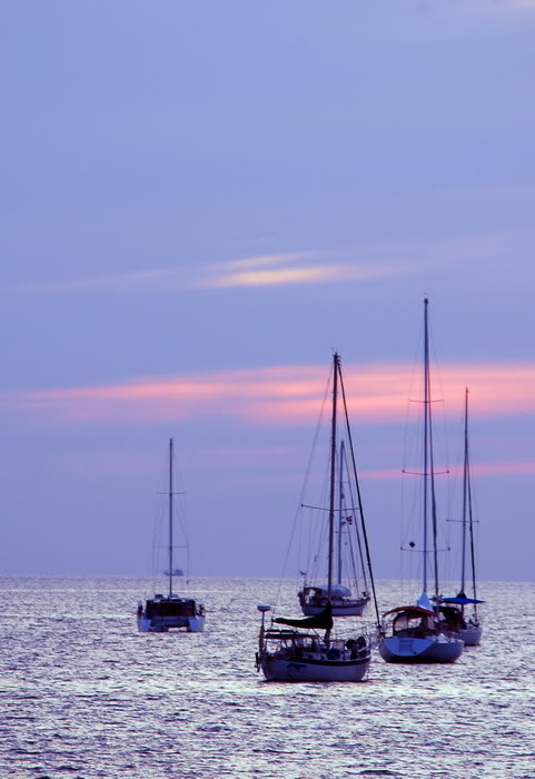 DSC_6835_resize.jpg