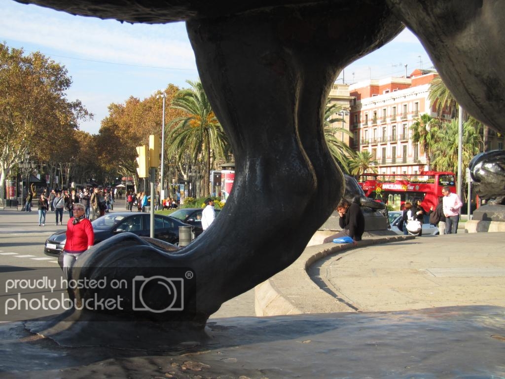 IMG_5030_zps1ef5e13a.jpg