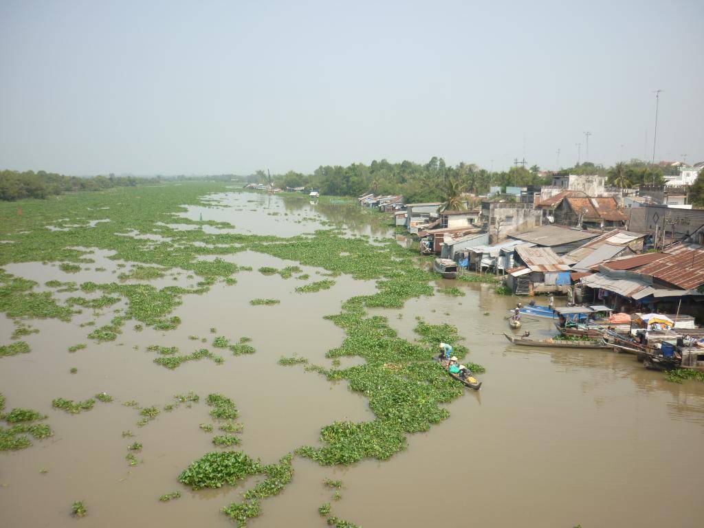 P1000817.jpg