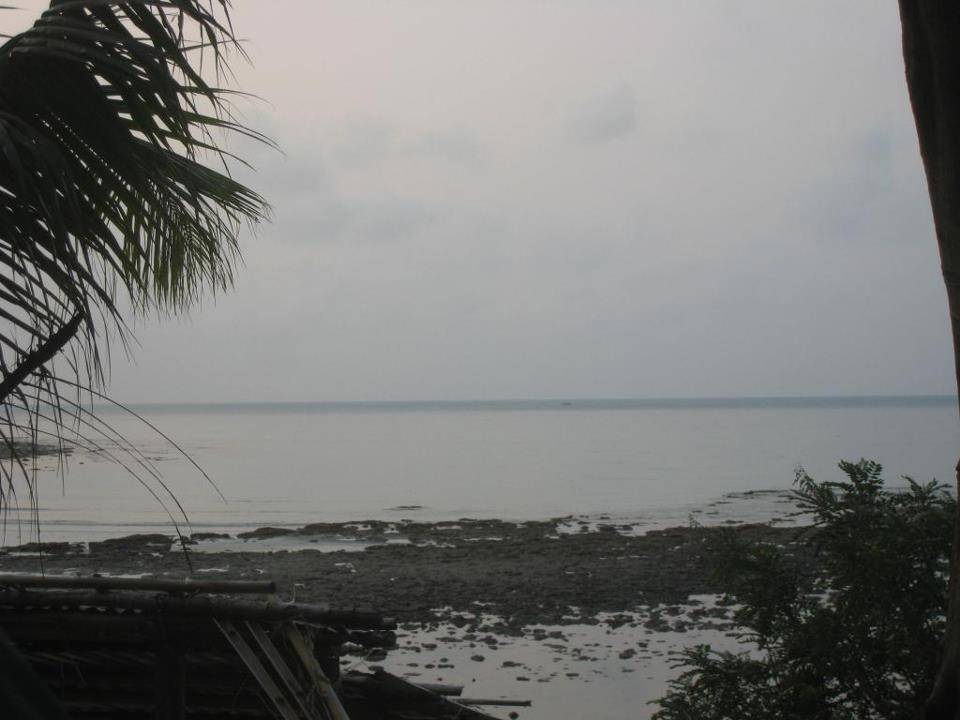 113_zps01f0956d.jpg