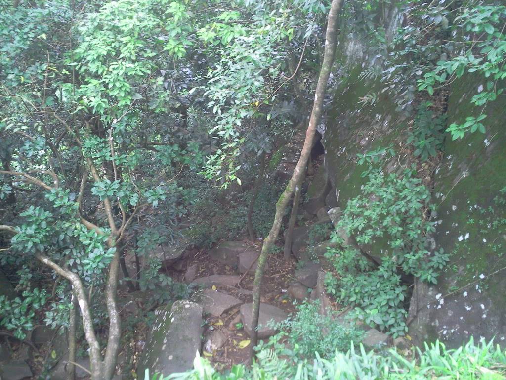 Photo0787.jpg