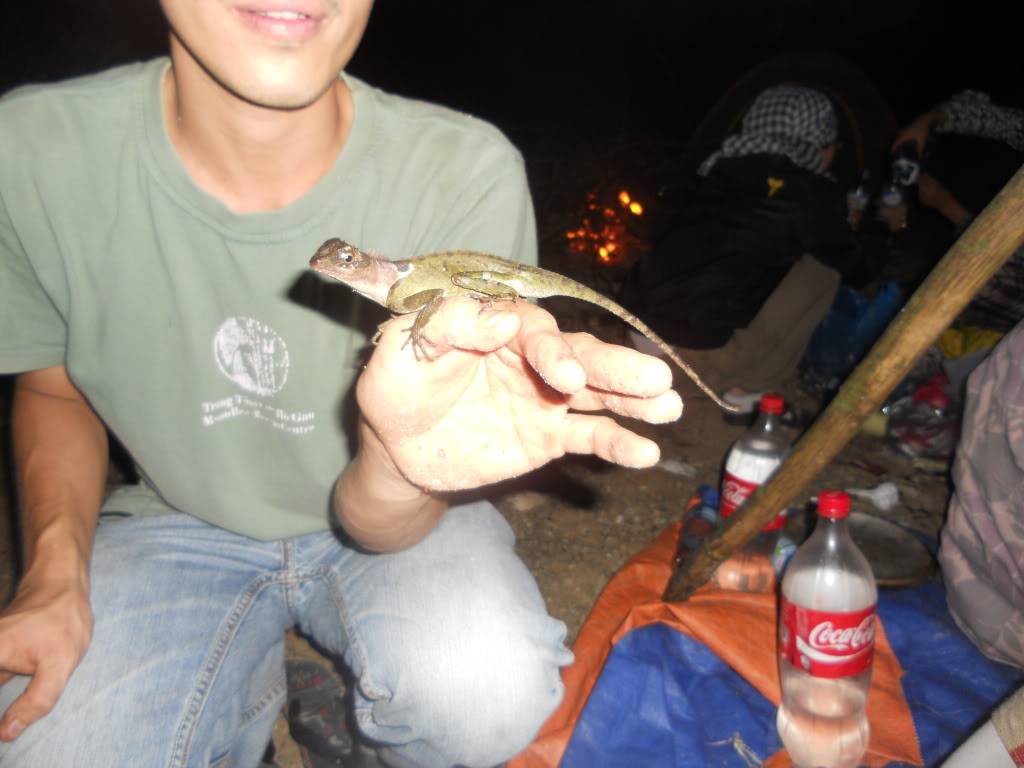 DSCN5167.jpg