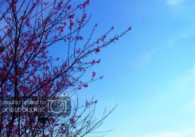 SAM_0263_526F672C1.jpg