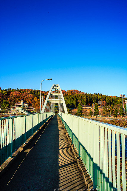 8444335901_474e8bcbc6_z.jpg