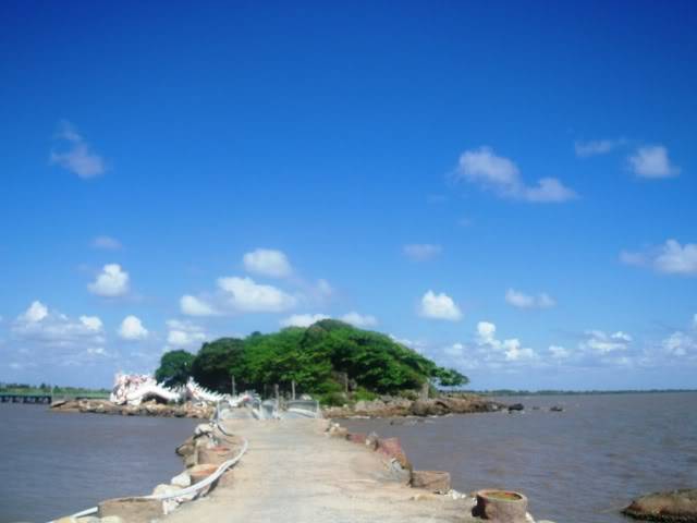 P1010219.jpg