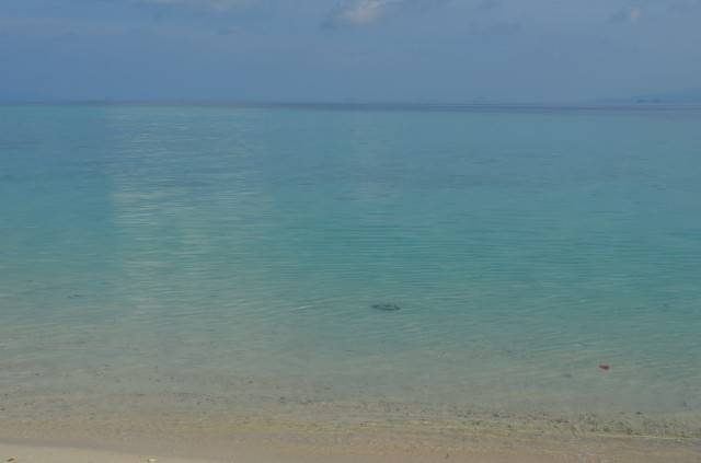 DSC_2234.jpg
