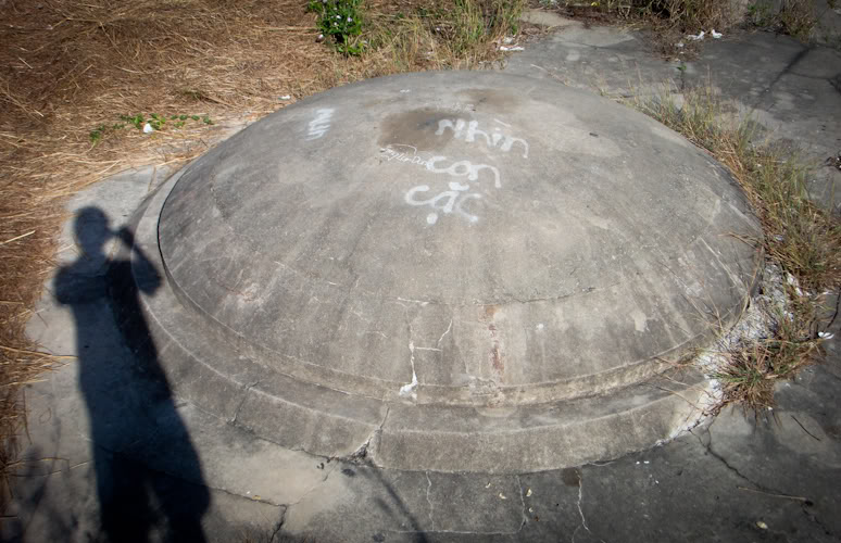 DSC08307-1.jpg