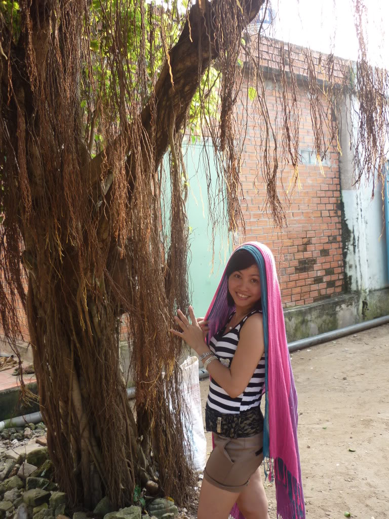 P1020249.jpg