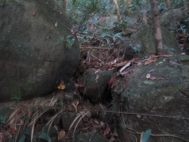1249_zpsf071030a.jpg