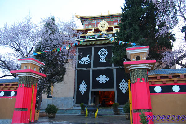 shangri-la178.jpg