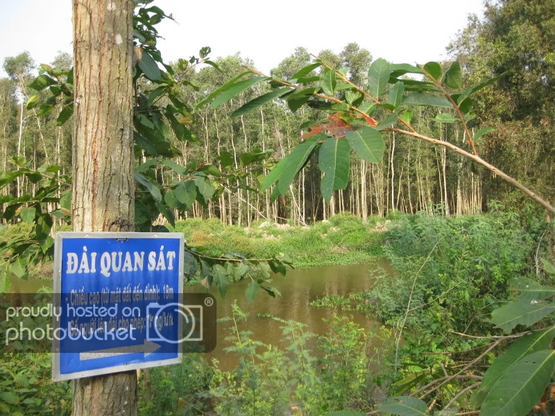 DongThapTET2011318.jpg