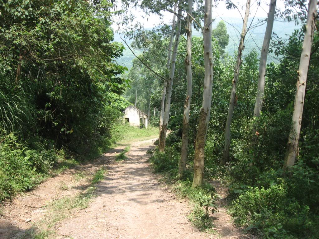 IMG_0553.jpg