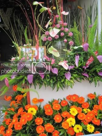 IMG_2895.jpg