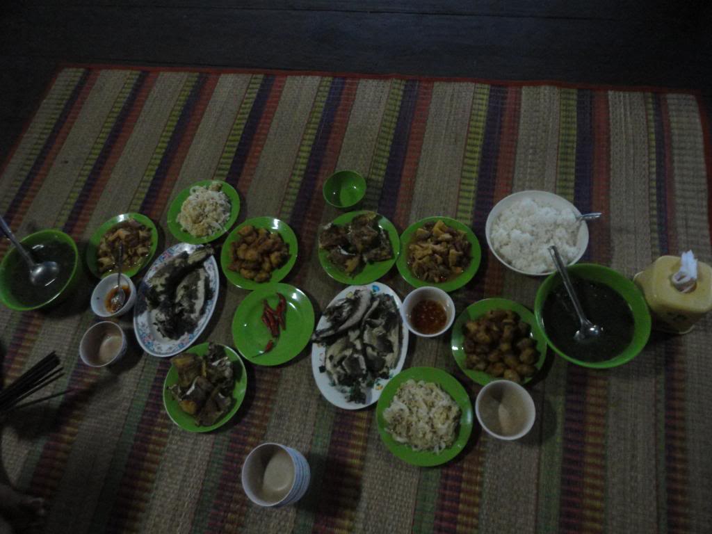 DSC00028.jpg