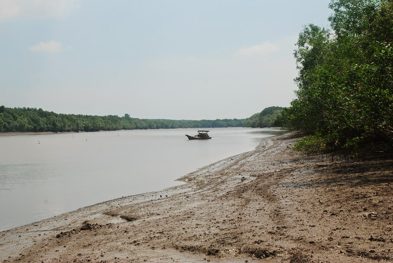 DSC_8771.JPG