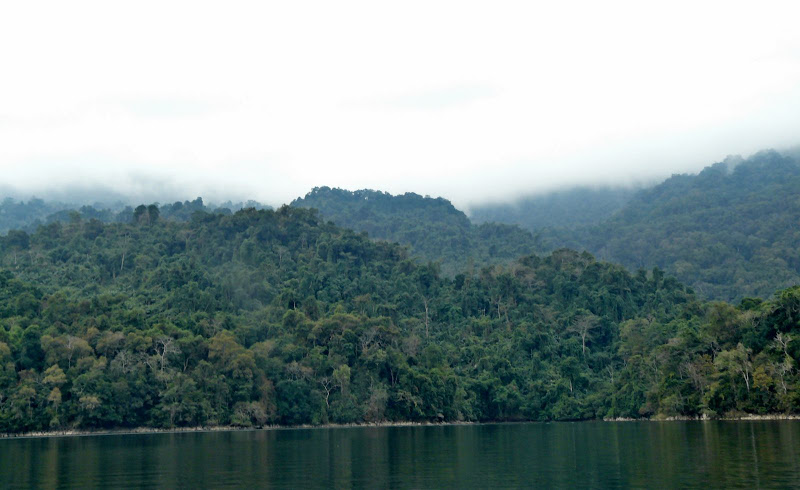 P1050575.JPG