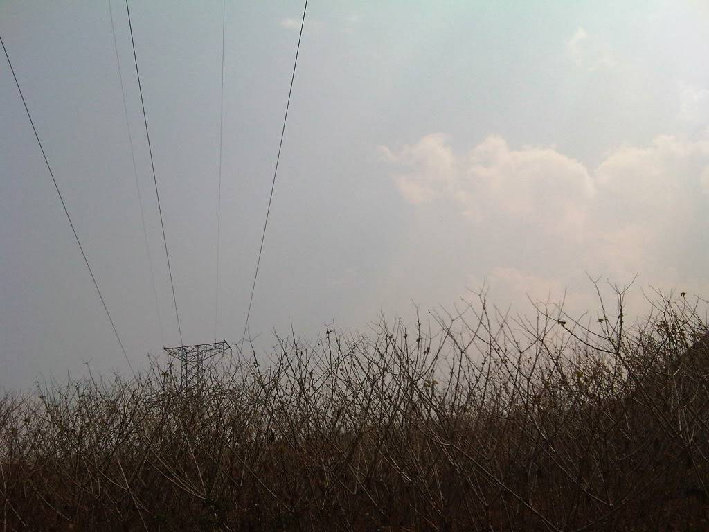 IMG00495-20120304-1340.jpg
