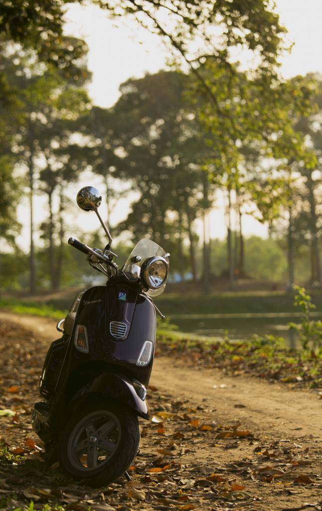 Vespa2.jpg
