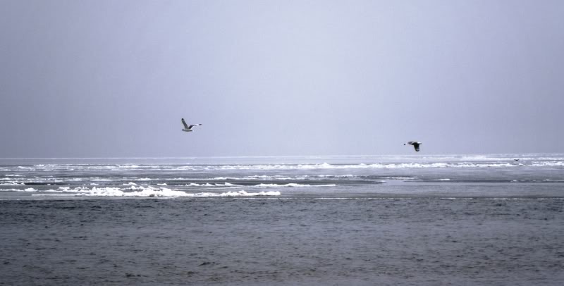 P4140055-1.jpg