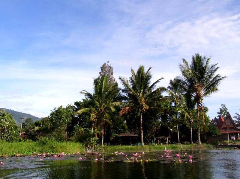 P7230442.jpg