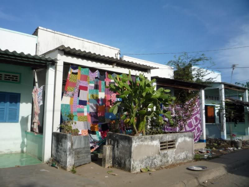 P1030177800x600.jpg