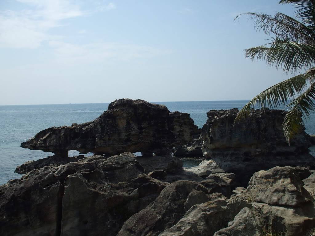 DSCF5113.jpg