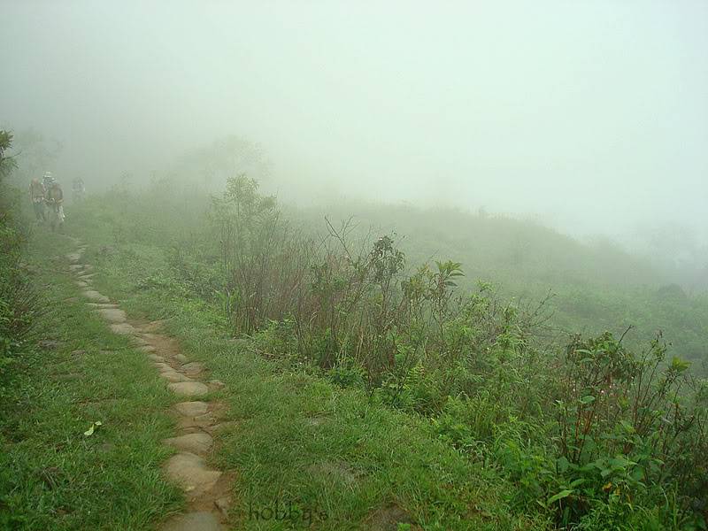 DSC07905-1.jpg