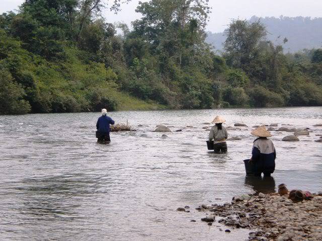 P2030453.jpg