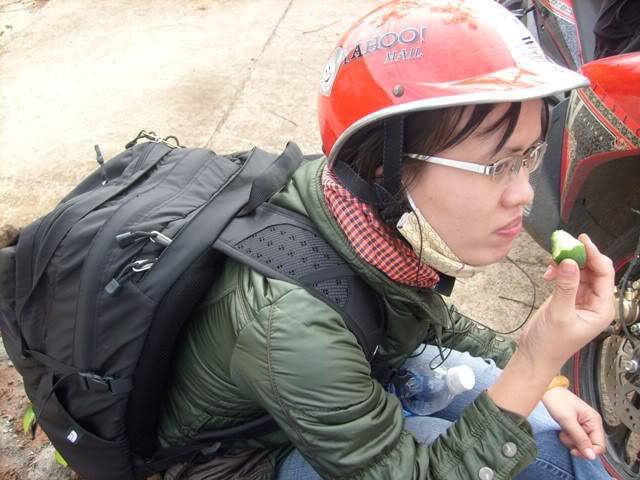 S7301742.jpg