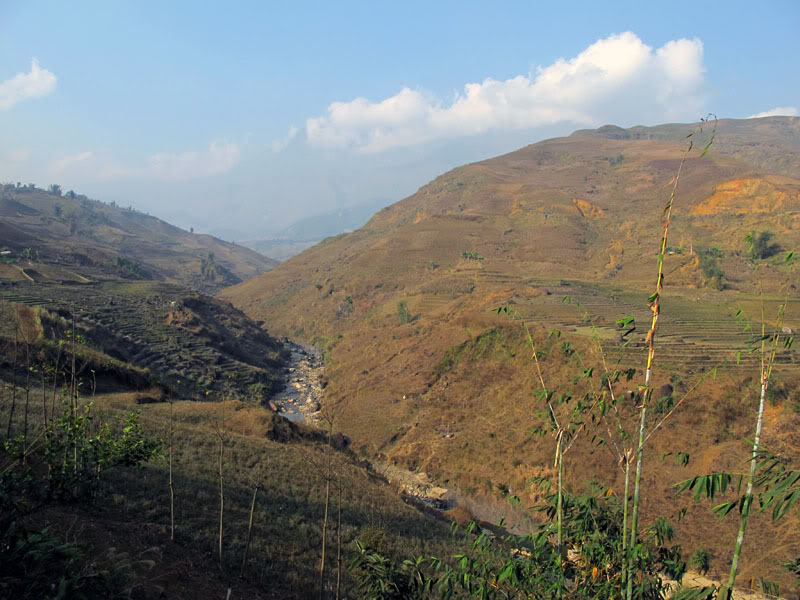 HongNgai2011215.jpg